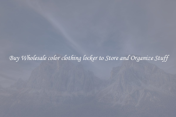 Buy Wholesale color clothing locker to Store and Organize Stuff