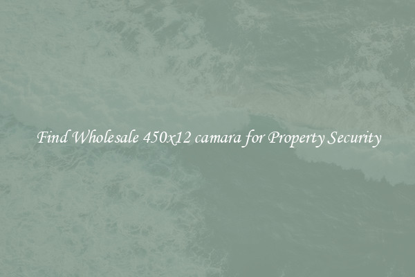 Find Wholesale 450x12 camara for Property Security