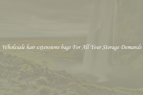 Wholesale hair extensions bags For All Your Storage Demands