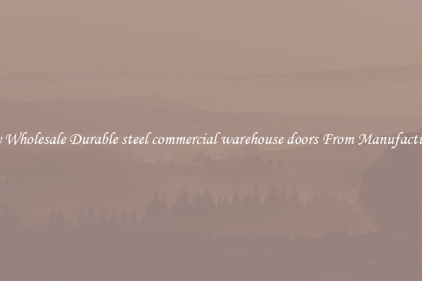 Buy Wholesale Durable steel commercial warehouse doors From Manufacturers