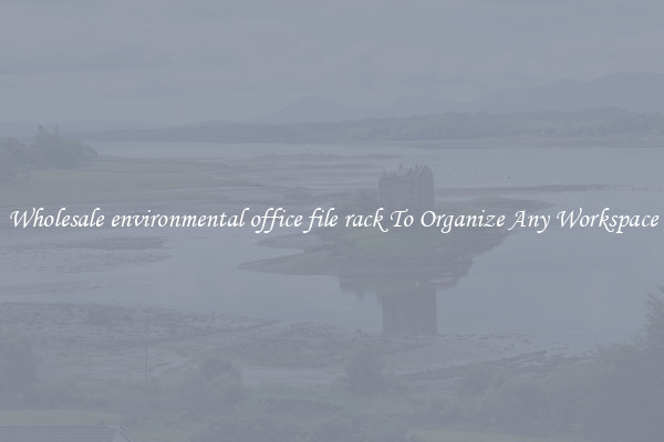 Wholesale environmental office file rack To Organize Any Workspace