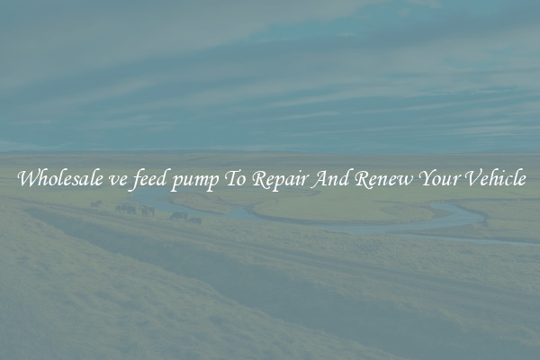 Wholesale ve feed pump To Repair And Renew Your Vehicle