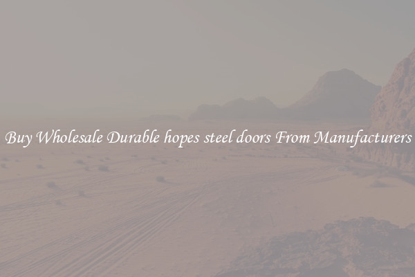 Buy Wholesale Durable hopes steel doors From Manufacturers