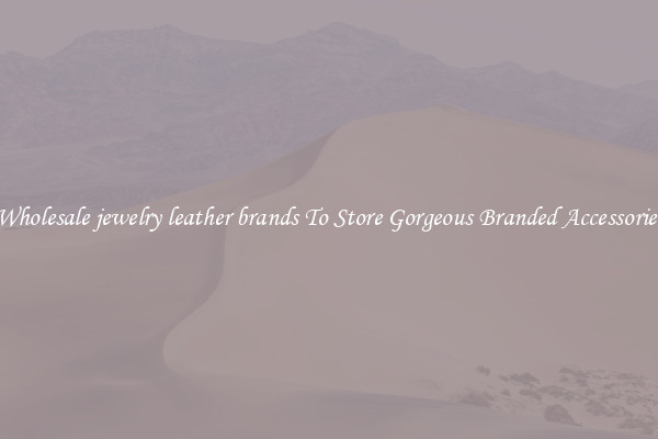 Wholesale jewelry leather brands To Store Gorgeous Branded Accessories