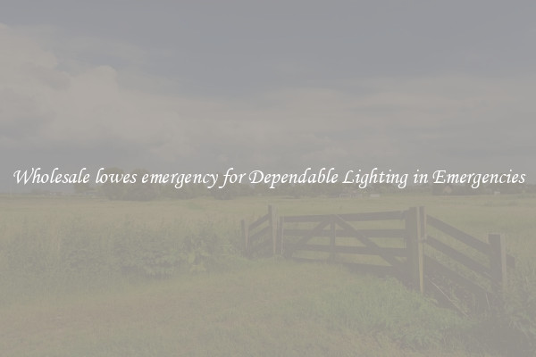 Wholesale lowes emergency for Dependable Lighting in Emergencies