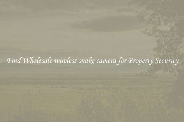 Find Wholesale wireless snake camera for Property Security