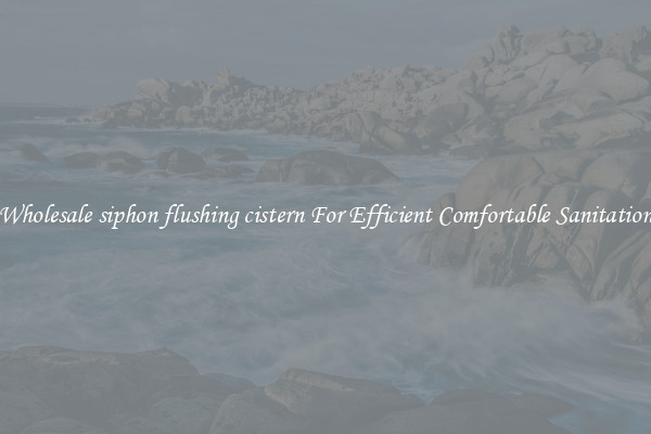 Wholesale siphon flushing cistern For Efficient Comfortable Sanitation