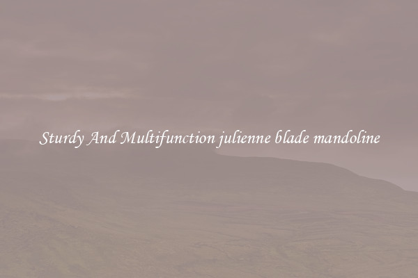Sturdy And Multifunction julienne blade mandoline