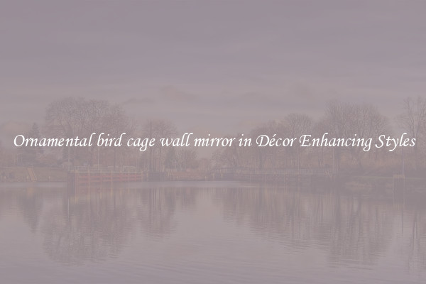 Ornamental bird cage wall mirror in Décor Enhancing Styles