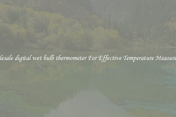 Wholesale digital wet bulb thermometer For Effective Temperature Measurement