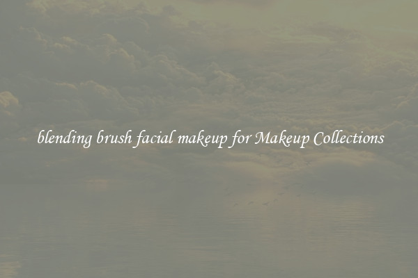 blending brush facial makeup for Makeup Collections
