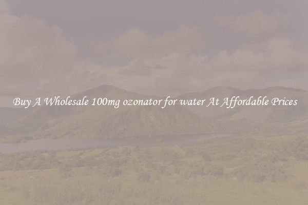 Buy A Wholesale 100mg ozonator for water At Affordable Prices
