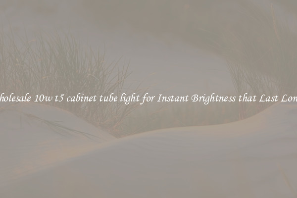 Wholesale 10w t5 cabinet tube light for Instant Brightness that Last Longer
