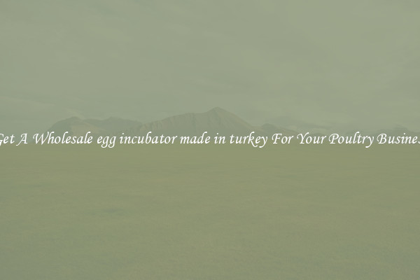 Get A Wholesale egg incubator made in turkey For Your Poultry Business