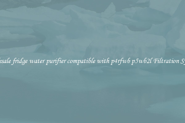Wholesale fridge water purifier compatible with p4rfwb p5wb2l Filtration Systems
