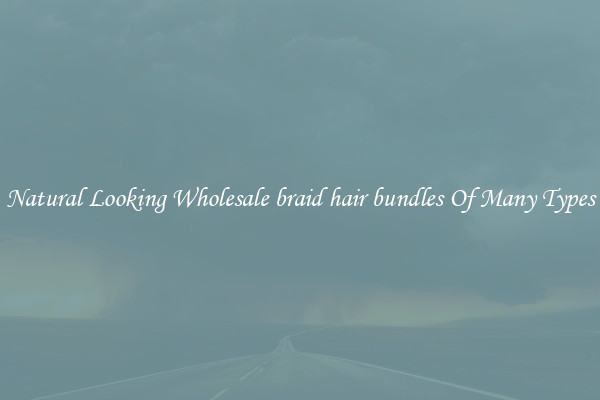 Natural Looking Wholesale braid hair bundles Of Many Types
