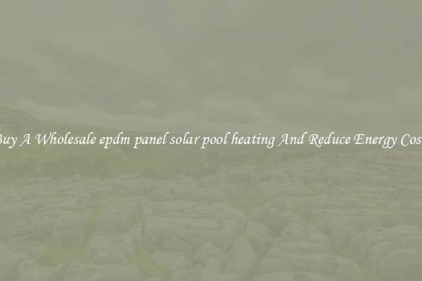Buy A Wholesale epdm panel solar pool heating And Reduce Energy Costs