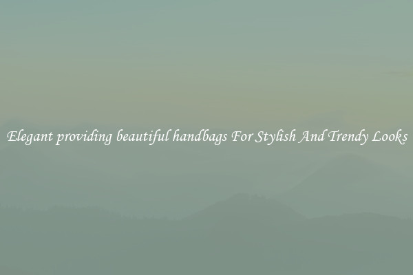 Elegant providing beautiful handbags For Stylish And Trendy Looks