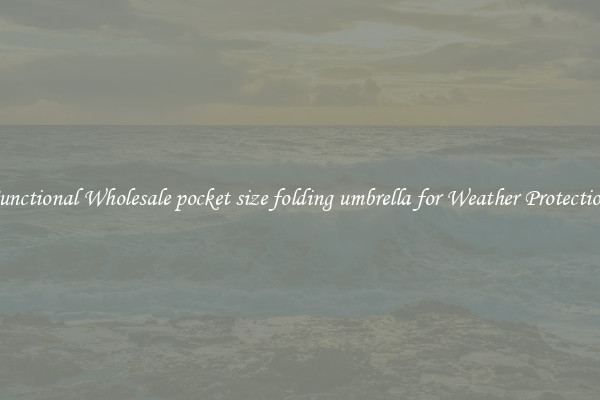 Functional Wholesale pocket size folding umbrella for Weather Protection 