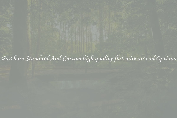 Purchase Standard And Custom high quality flat wire air coil Options
