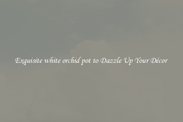 Exquisite white orchid pot to Dazzle Up Your Décor 