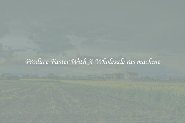 Produce Faster With A Wholesale ras machine